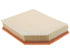 Air Filter C 29 021