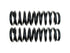 Coil Spring Set 81102