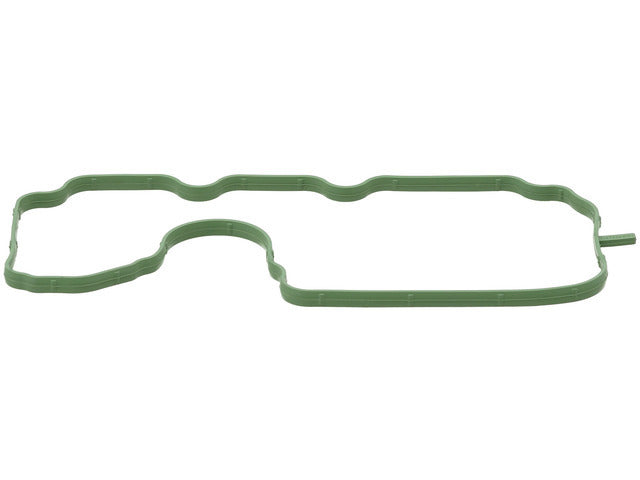 Oil Separator Gasket 789.960