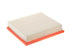 Air Filter A2962CA