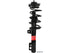 Strut/Coil Spring Assy 172311