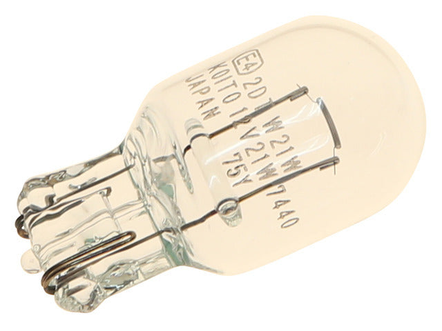 Bulb 1881