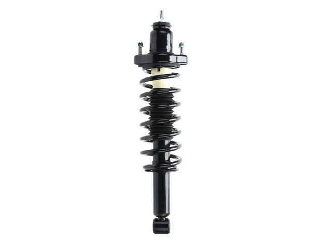 Strut/Coil Spring Assy 172401