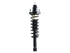 Strut/Coil Spring Assy 172401