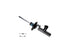 Strut Assembly 23-238978
