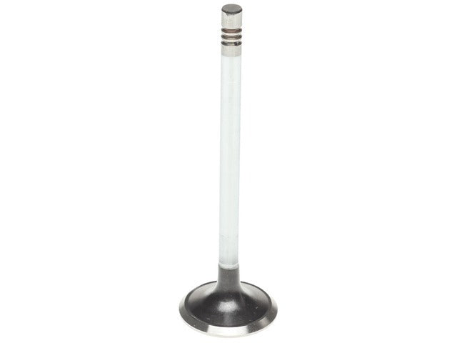Exhaust Valve 2114620