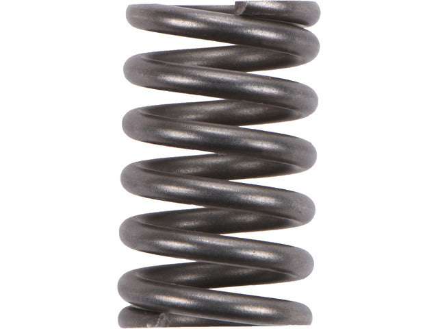 Exhaust Spring 2108-49769