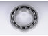 Trans Case Output Shaft Brg. 19133136