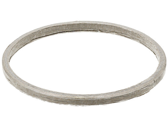 Turbo Exhaust Gasket 738.820