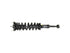 Strut/Coil Spring Assy 153032L