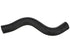 Radiator Hose 51382