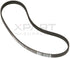 WW01F01756 compatible washer belt by XPart Supply black multi-ribbed replacement belt