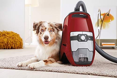 CX1 Home Care Bagless Canister Vacuum, Autumn Red - XPart Supply