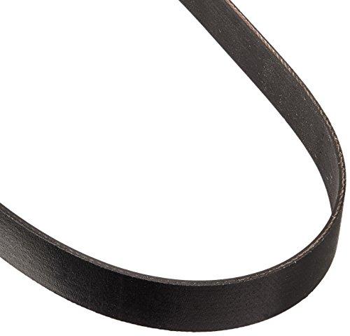 Oreck Belt, Flat Corded LW100 LW1500 Magnesium Upright Part 83002-01 - Appliance Genie