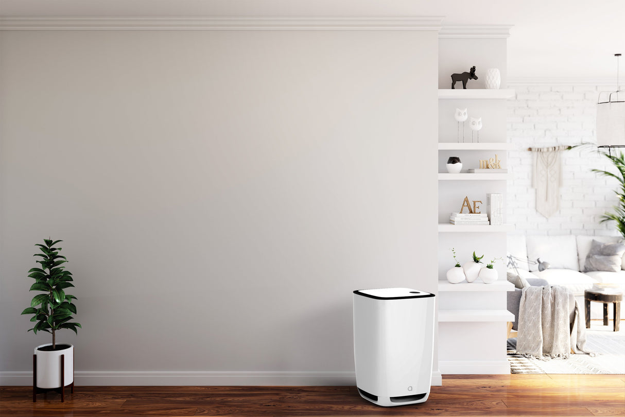 Aeris Aair Gas Pro Odor Eliminating Smart Air Purifier. Swiss Technology. Eliminates Cooking Odors, Fumes, Pollutants and More (color options available) - Appliance Genie