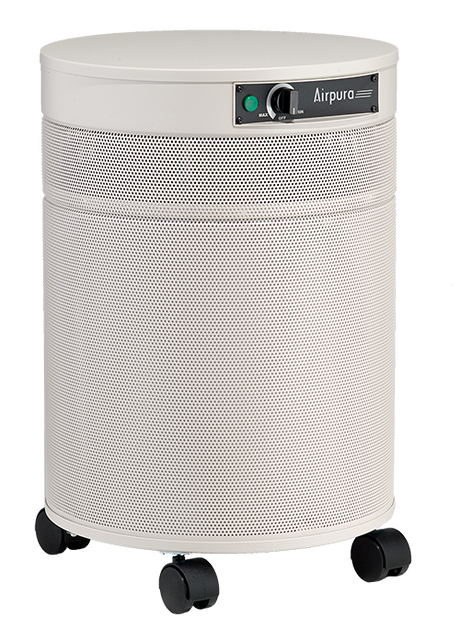 Airpura C600 - Chemical Aand Gas Abatement Air Purifier (color options available) - Appliance Genie