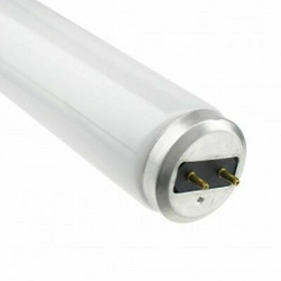 F40CW/RS/EW 40W T12 Linear Fluorescent Lamp, 48", 4100K - XPart Supply